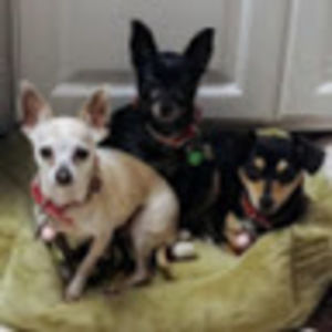 Meet your Posher, Pat & stacey